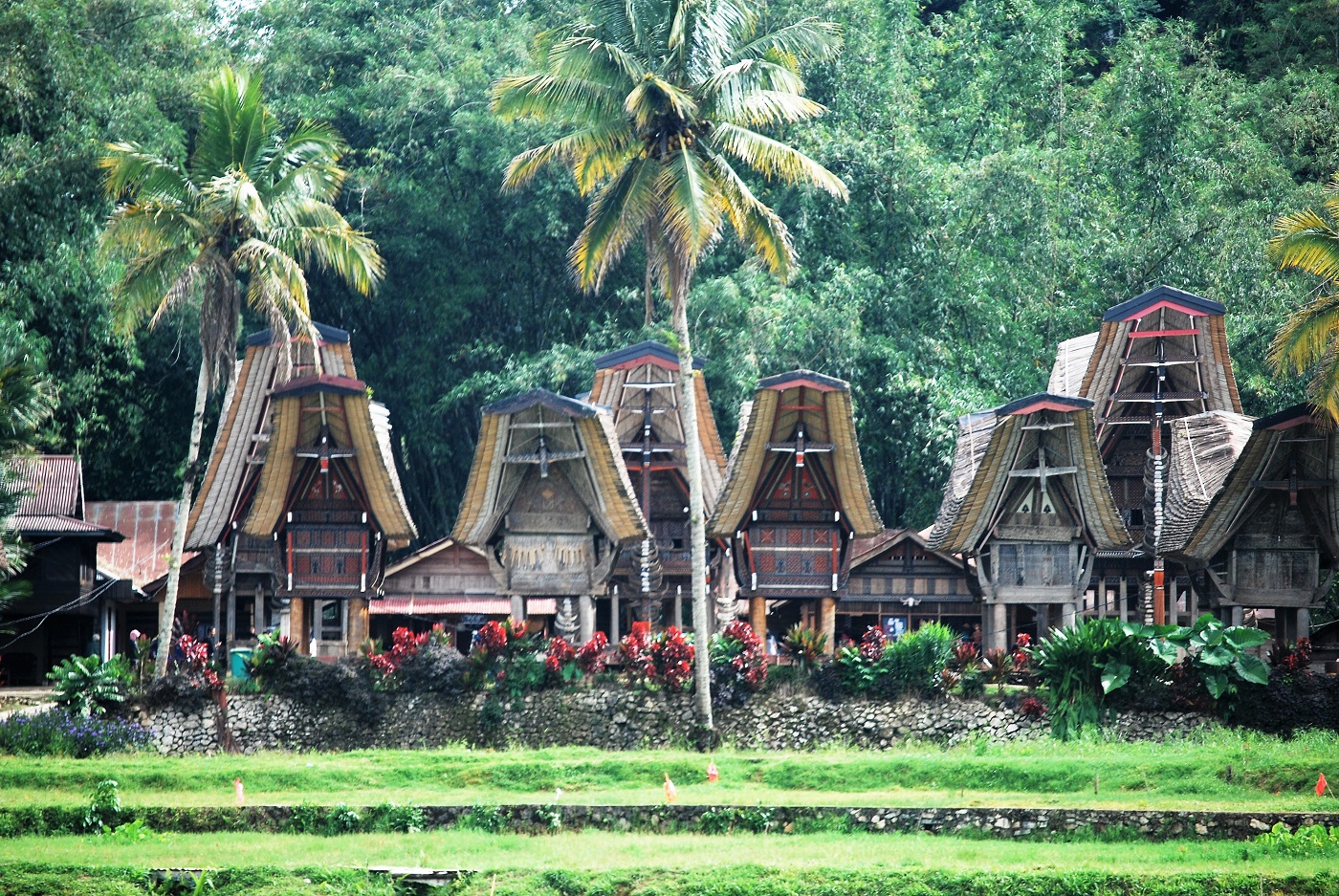 Sulawesi Classico & Isola di Gangga